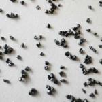 Buy cheap sand peening media metal abrasive steel grit G25 from wholesalers