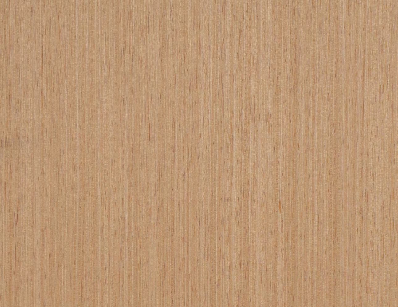 Silver Pear 590 Engineered Wood Veneer 250cm Length 64cm Width