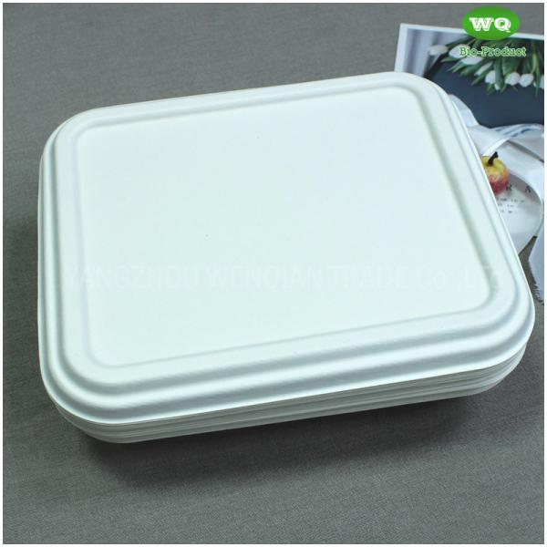 Biodegradable Sugarcane Pulp 3-Compartment Food Box-High Quality Plant Fiber