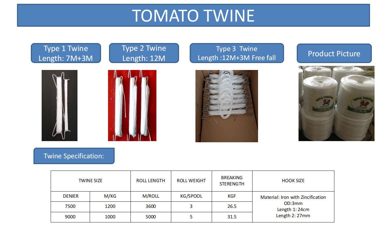 Mexico Hotsale UV Resistant Tomato Pepper Twine 1000m/Kg 3-5kg for Agriculture Use