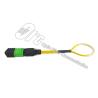 Buy cheap Single Mode G657A2 MTP MPO Patch Cable Green Black Housing Color from wholesalers