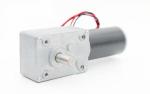 Medical Equipment Motor 12V 120g 0.2A 50RPM for Beauty Equipment