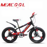 OEM 21speed Full Suspension Mountain Bike