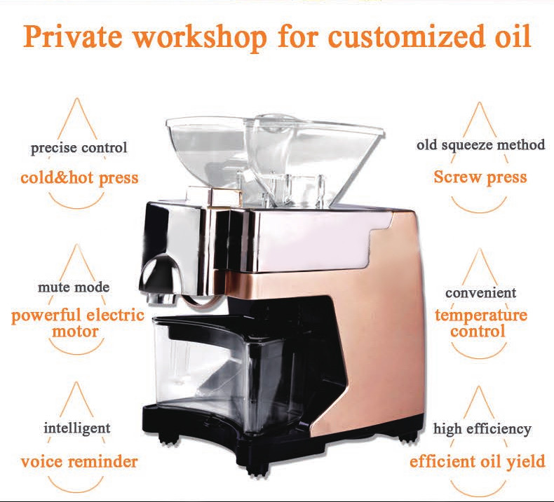 Mini household oil press machine with high quality 304 stainless steel