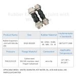 Threaded Live Joints EPDM Rubber Expansion Joints Forged Double Spherical Design