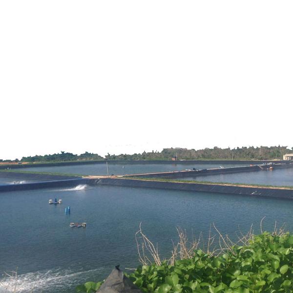 Buy cheap Blue HDPE Geomembrane Sheet for Fish Pond 0.1mm 3mm and Onsite Installation Service from wholesalers