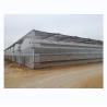 Buy cheap 4.0-8.0M Height Agriculture Multi Span Plastic Film Greenhouse For Tomato Turnkey Project from wholesalers