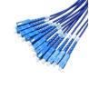Buy cheap LC To SC Multi Mode Fiber Optic Patch Cord 12 Core 3m 10Gb from wholesalers