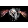 Buy cheap Stage Projection Musion Foil Hologram Projection Equipment Reflective Transparent Film from wholesalers