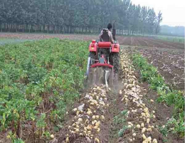Buy cheap Two Rows Small Agricultural Machinery Small Scale Farming Equipment from wholesalers