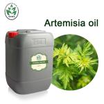 Natural Pure Artemisia Argyi Essential Oil Whole Body Massage Oil Whitening Spa