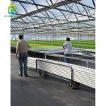 5.8m Length Commercial Aquaponics System Soilless Culture Fish And Plant System
