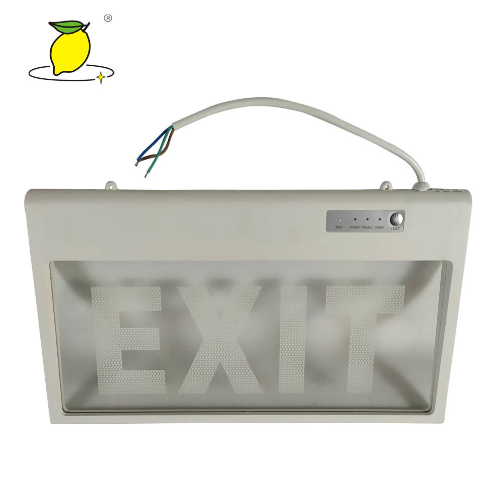 Reliable Recessed Emergency Exit Light , Ceiling Mounted Exit Sign