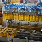 Robust Bottle Case Packer With Airbag Suction Cups And 2200kg Weight For