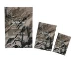 Wholesale Custom Logo 3 Side Seal Pouch Coffee Nut Food White Tea Leaf Heat