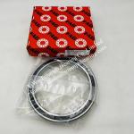 FAG Deep Groove Ball Bearings 61834-2RSR , 61834