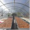 Buy cheap Drying Greenhouse with PC Board and Ventilation Greenhouse Metal Frame Temperature Regulated from wholesalers