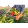 Buy cheap Pure Organic Nitrogen 16% CropGuard Liquid Amino Acid Biofertilizer for Stress Defense Soil Revival and Yield Excellence from wholesalers