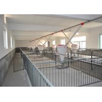Buy cheap Hot Dip Galvanized Piggery Farm Equipment PVC board Weaner Raised Farrowing product