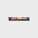 Product Catalog of Bar Type LCD Display
