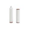 Buy cheap 0.1um 10" Pharmaceutical PES Filter Cartridge Asymmetric Pore Structure from wholesalers
