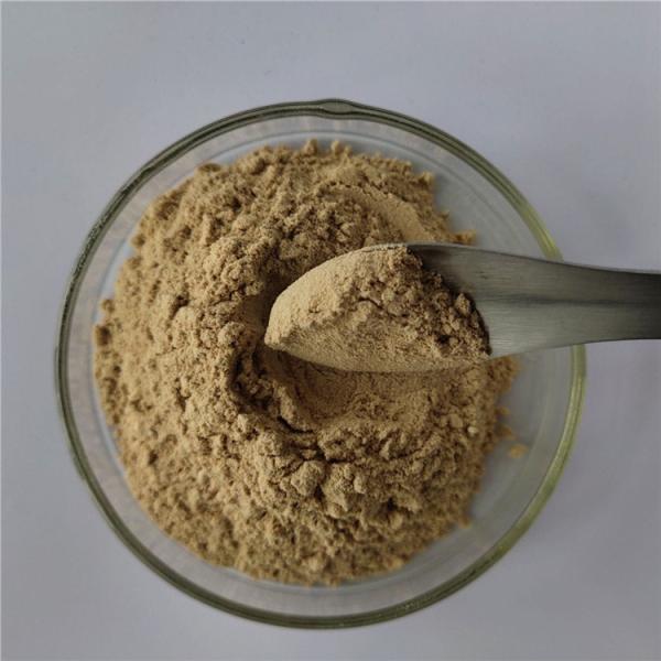 Buy cheap Indian Bread Extract For Anti Cancer Capsules from wholesalers