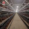 Buy cheap Poultry Farm Broiler Chicken Cage Galvanized Steel Automatic H Type Q235A from wholesalers
