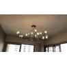 Buy cheap Living room Bedroom Wooden Tree Branch decorative lustre pendant home Chandelier lighting( WH-CI-107) from wholesalers
