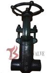 900LB Forged Steel Valves Pressure Seal Bonnet PSB Solid Wedge Full Bore