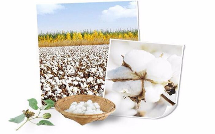 100% Cotton Hydrating Spunlace Facial Mask Sheet