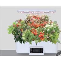Buy cheap Electricity Powered Hydro Grow System , Smart Hydroponic Plant Pots For Indoor product
