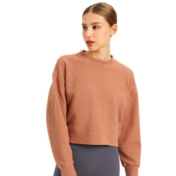 Buy cheap Autumn Winter Gym Crop Top Crew Neck Cotton Pullover Sportwear Cropped Sweatshirts Women from wholesalers