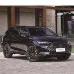Spc 4870*1950*1725 mm Energy Vehicles Byd 2024 Byd Tang Dm-I Hybrid Closed Body
