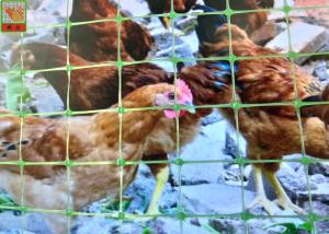 China Multi - Purpose Plastic Poultry Netting, Chicken Netting, Light Weight, Green Color, 1.5M High on sale