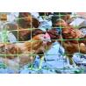 Buy cheap Multi - Purpose Plastic Poultry Netting, Chicken Netting, Light Weight, Green Color, 1.5M High from wholesalers