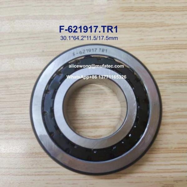Buy cheap F-621917.TR1 Automotive Bearings Taper Roller Bearings With Nylon Cage 30.1x64.2x11.5/17.5mm from wholesalers