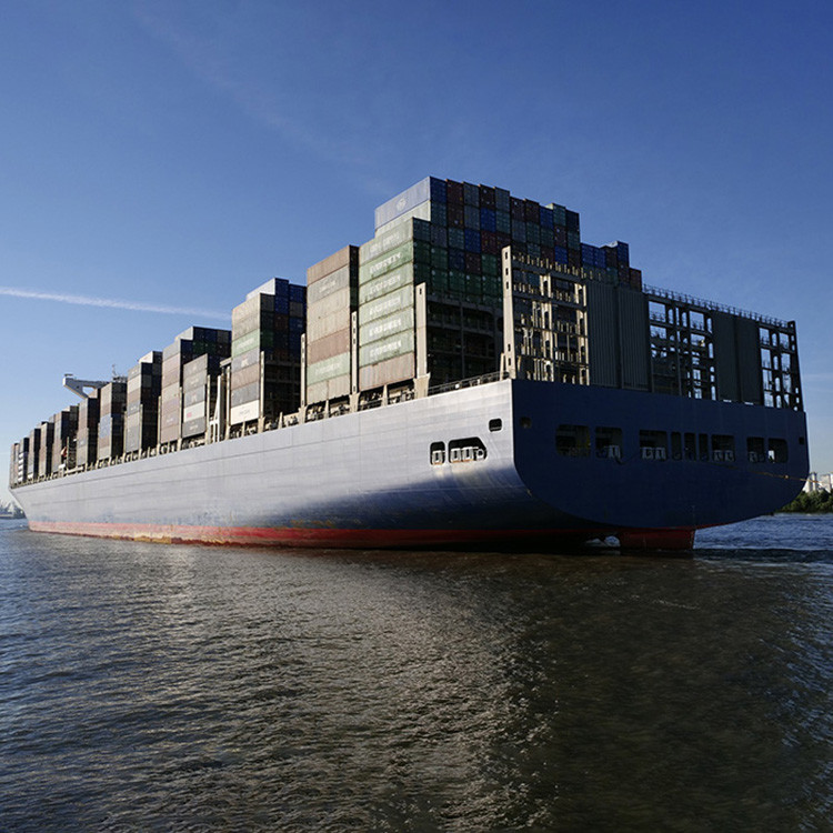 FCL LCL Professional Container International Sea Freight From China For Oversized Cargo