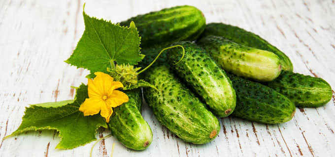 Anti Aging Water Soluble Cucumis Sativus Fruit Extract For Skin