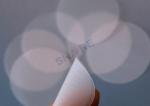 Laboratory Nylon Net Filter Test Discs 47 Mm Diameter 5 8 10 15 20 30 100 150
