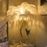 Buy cheap Height 80cm Modern Brass Stand Ostrich Art Deco Desk Lamps from wholesalers