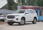 Factory supplier hot sale high quality Haval H9 2022 2.0T Automatic Luxury 7