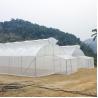 Buy cheap Agriculture Single Span Single Tunnel Umbrella Roof Vent Greenhouse For Hot Area from wholesalers