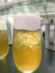 Food Grade Water Soluble Compound Emulsifier GMS4008 Ice Cream Emulsifier And