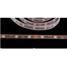 Buy cheap LED 30pcs-5050 strip pipe and inject DC12V 7.2W IP6833 from wholesalers