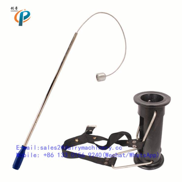 Ruminal Magnet, Strong Rumen Magnet, Cow Magnet, strong magnetic cage rumen iron