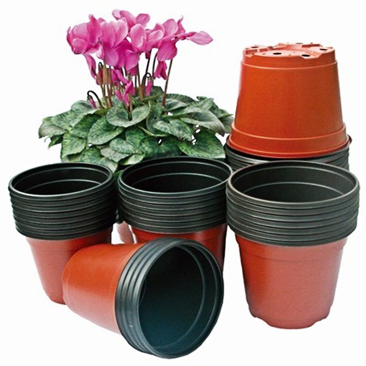 Light and soft black/double-color flower pot dried ginger seedling nutrition pot