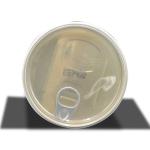 Professional Grade Bleached Hair Powder for Adults Achieve Stunning Results