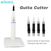 Buy cheap 2.5W Endo Gutta Percha Cutter Dental Medical Devices Gum Cutter product