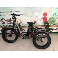 Buy cheap 500w 48v 3 Wheel Electric Cargo Bike Tricycle For Adults 20" Cargo Fat Tire product