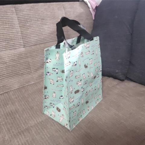 Buy cheap Light Green Fashionable Reusable Shopping Bags Women Canvas Tote Bags For School from wholesalers